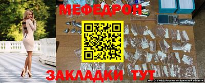 шишки Лесосибирск