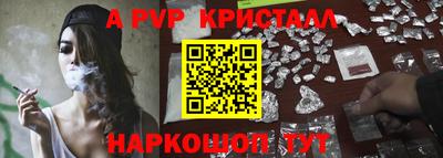 шишки Лесосибирск