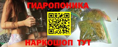 шишки Лесосибирск