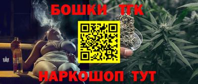 шишки Лесосибирск