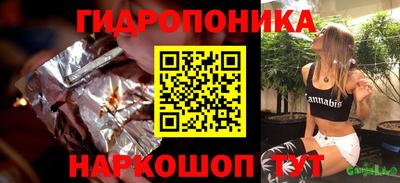 шишки Лесосибирск