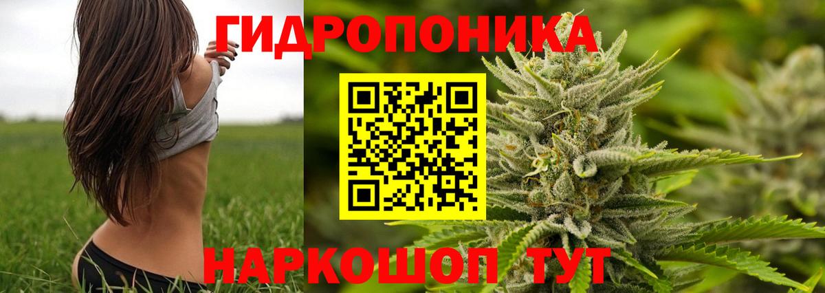 МАРИХУАНА Bruce Banner  Бошки Шишки семена  Бошки Шишки марихуана  Вход с VPN  Десногорск  Бошки марихуана ГИДРОПОН 